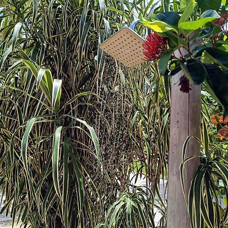 Badamier Self-Catering Apartment La Digue Bagian luar foto