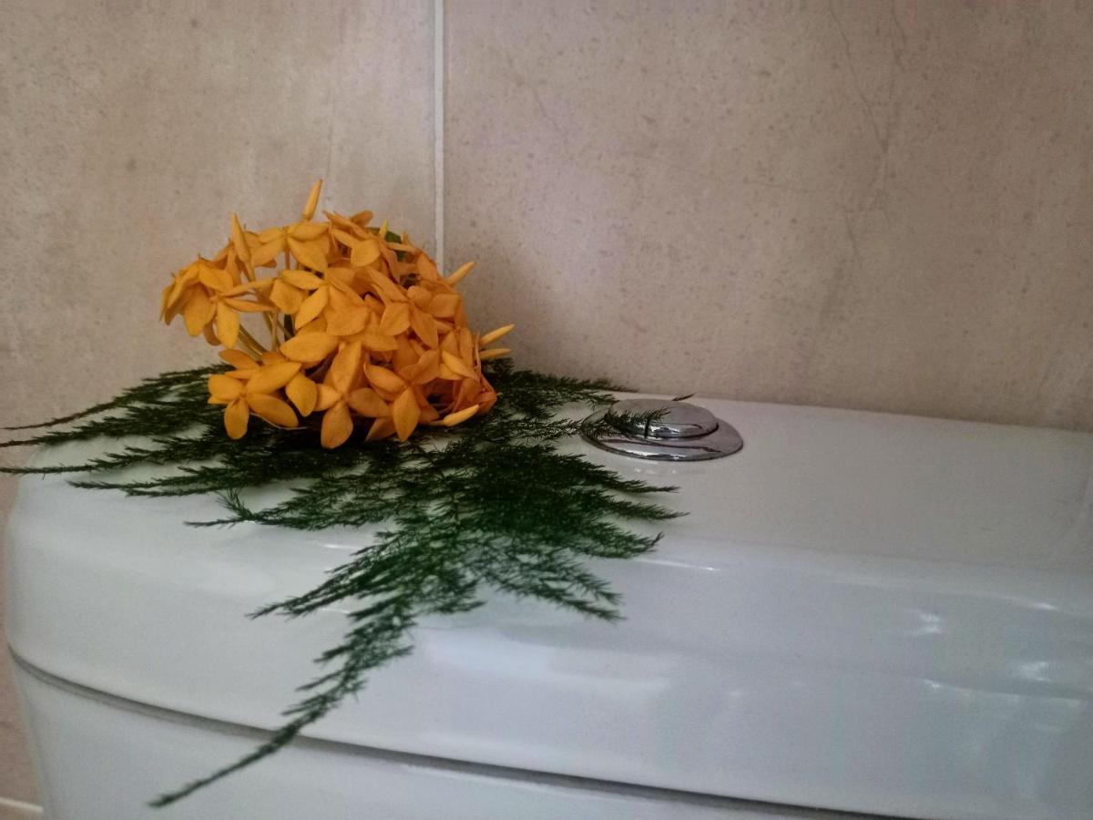 Badamier Self-Catering Apartment La Digue Bagian luar foto